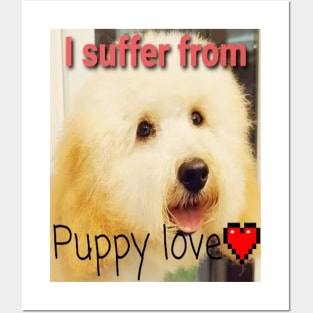 I suffer from puppy love Posters and Art